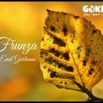 Frunza. Povestioară de Emil Gârleanu Frunza Poveste de Emil Garleanu