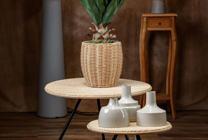Vista frontale del prodotto - Agave artificiale finta realistica in un vaso di legno su un tavolino rotondo