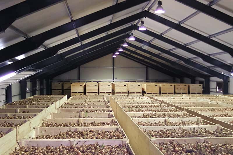 Isolierte Lagerhalle für Gemüse Innenansicht Isolierte Gemüselagerhalle mit Schüttwand,Innenansicht - Lagerhallen von ELF Hallenbau