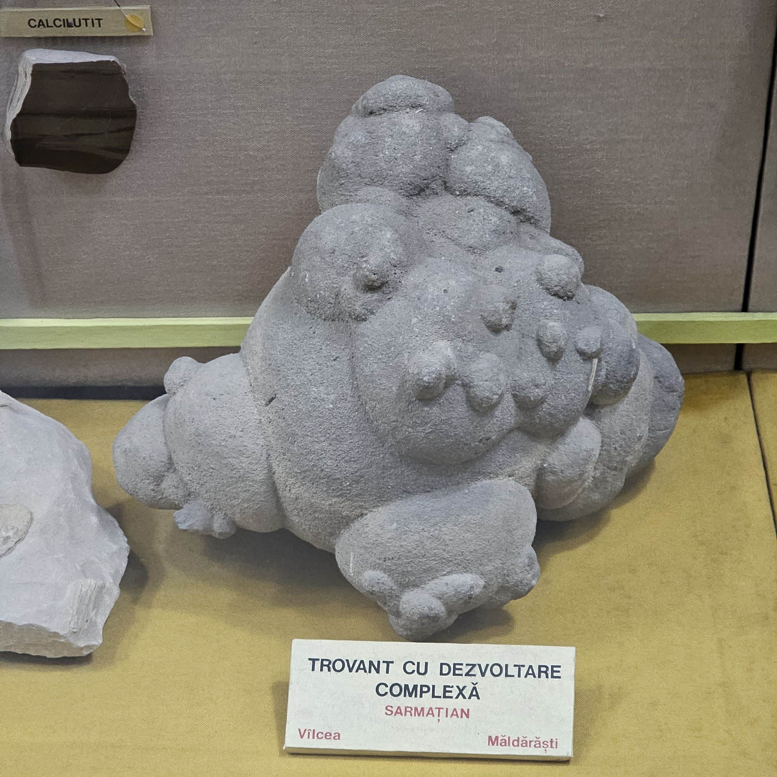 Muzeul Geologic Național - exponat