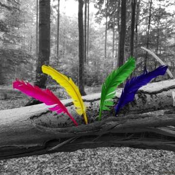 photoart_10082016182021