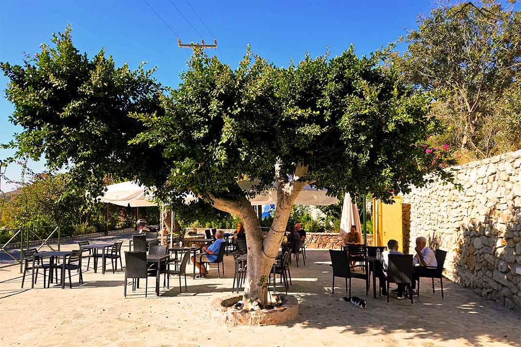 Menschen sitzen an einem Cafß
é unter Platanen am Dorfplatz von Megalo Chorio