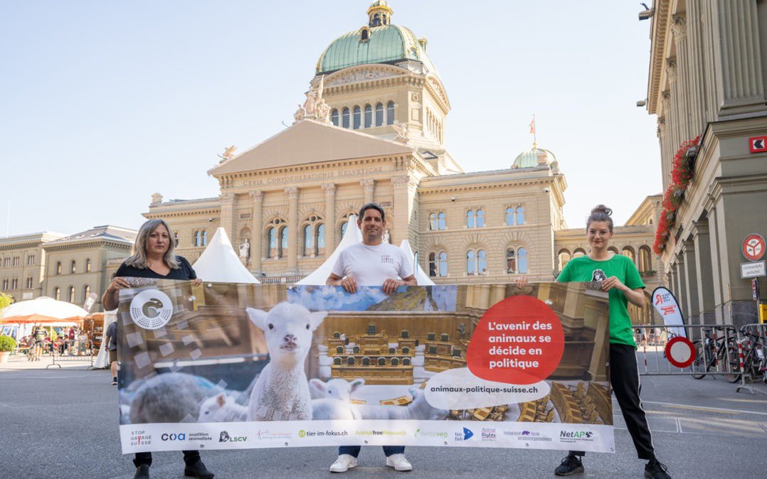 Banderole pour Animaux-Politique-Suisse