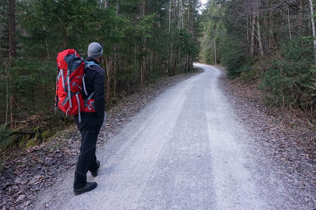 Mein Wanderkollege Maik auf dem breiten Fahrweg im Wald, der in Richtung Frieder führt