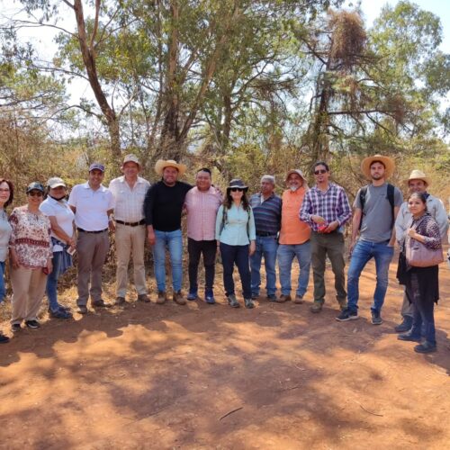Aufforstung und nachhaltige Landwirtschaft am Chapala-See