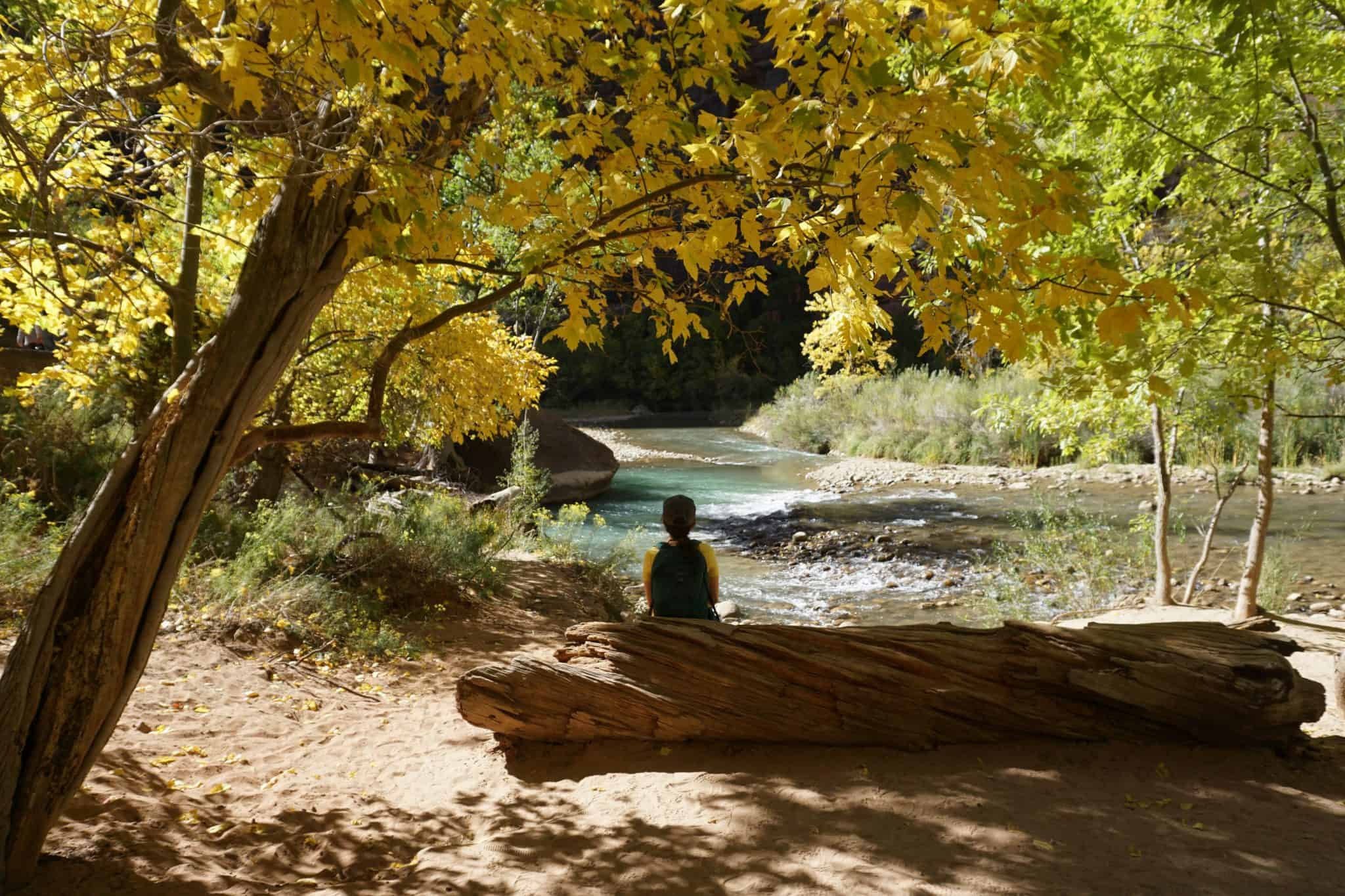 nature-mindfulness-youth-wellness