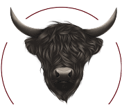 TheFatBull - Logo(web)colour