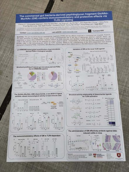 AO size fabric poster