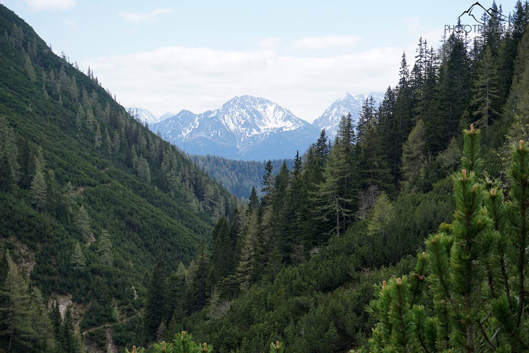Der Blick über ein bewaldetes Tal im Karwendel