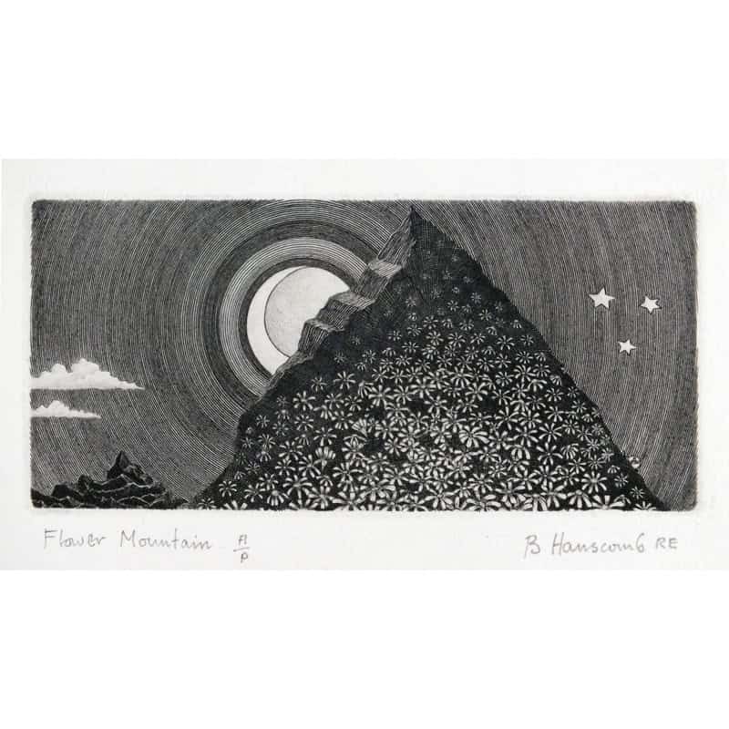 0491C Flower Mountain 16/95 – Brian Hanscomb