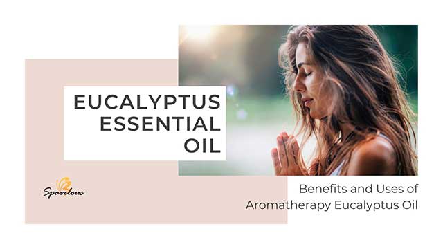EUCALYPTUS ESSENTIAL OIL: USES, BENEFITS, AND HEALTH INSIGHTS OF EUCALYPTUS OIL 3 introduction to eucalyptus essential oil