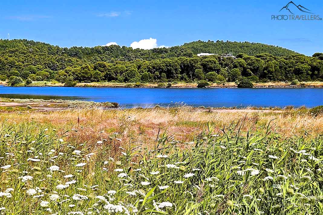Die blaue Süßwasser-Lagune Strofilias umgeben von Schilf und Wald