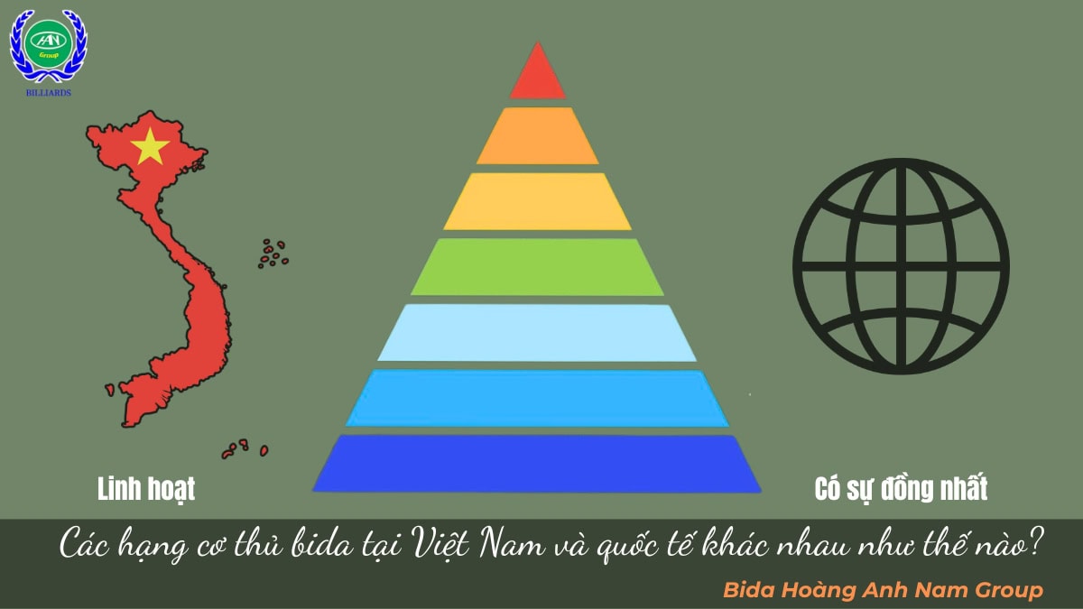Các hạng cơ thủ bida tại Việt Nam và quốc tế khác nhau như thế nào?