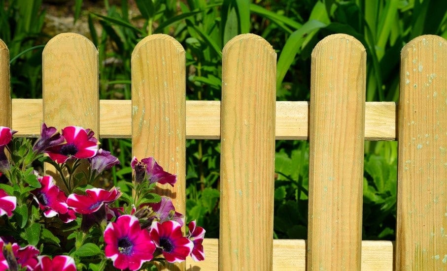 Kesseldruckimprägniertes Holz und seine Alternativen Holzzaun aus kesseldruckimprägniertem Holz