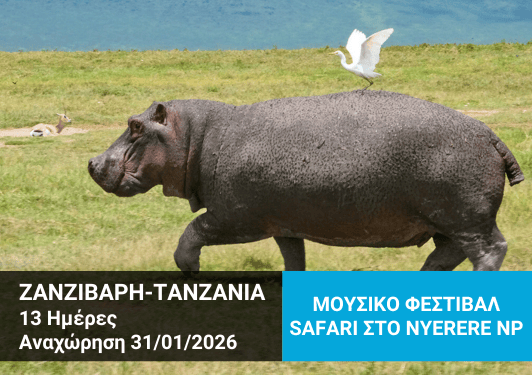 Ομαδικό ταξίδι στη Ζανζιβάρη, Μουσικό Φεστιβάλ Sauti Za Busara, σαφάρι στην Τανζανία, Φεβρουάριος 2026