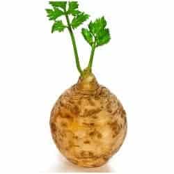 telina celery céleri sedano apio Sellerie gokid legume ordonate alfabetic
