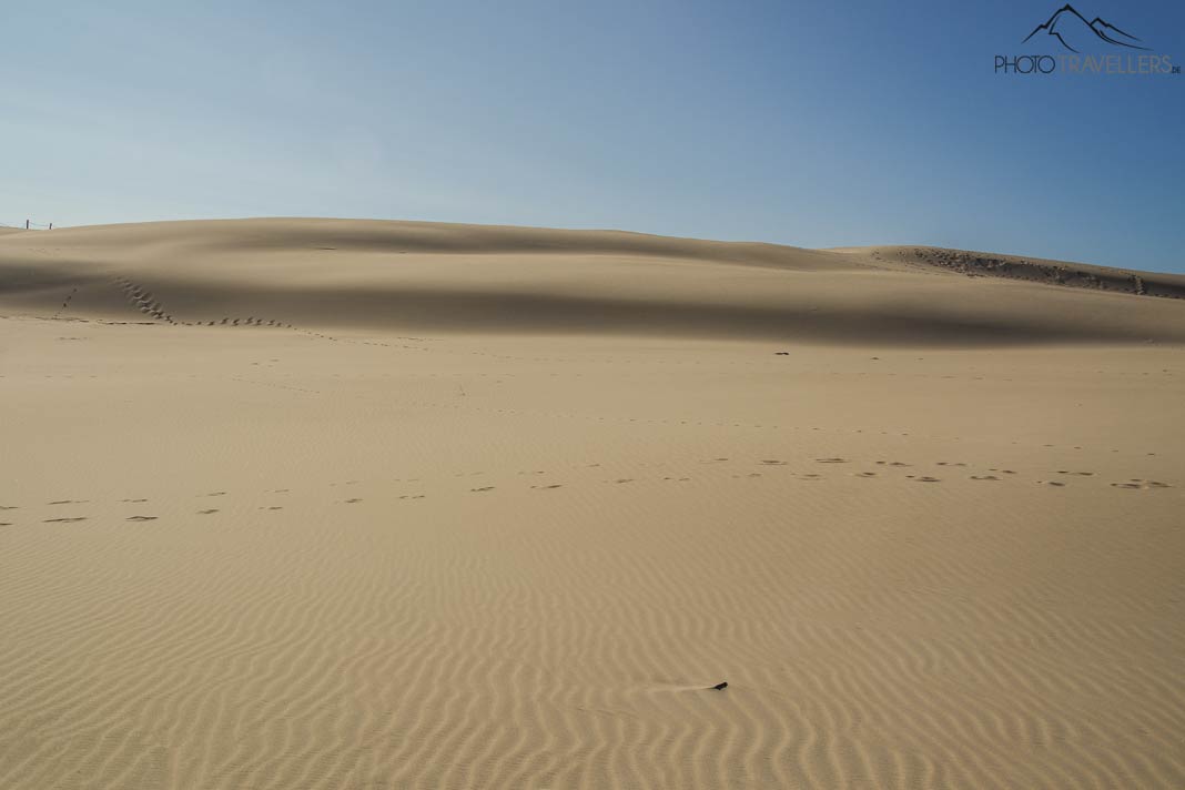 Im Słowiński-Nationalpark kannst du ein ganz besonderes Wüstenfeeling erleben