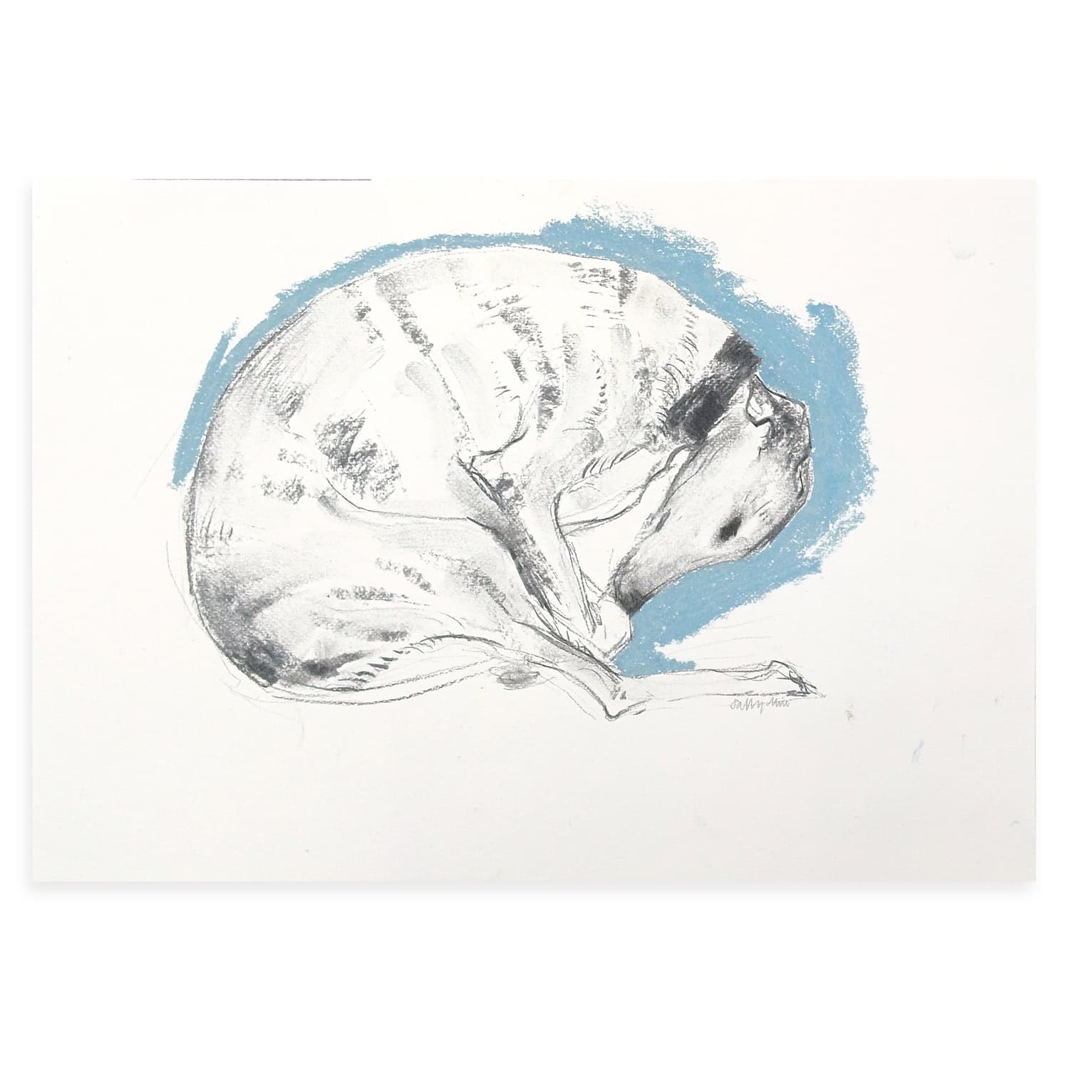 4725C Sleeping Hound on Teal – Sally Muir