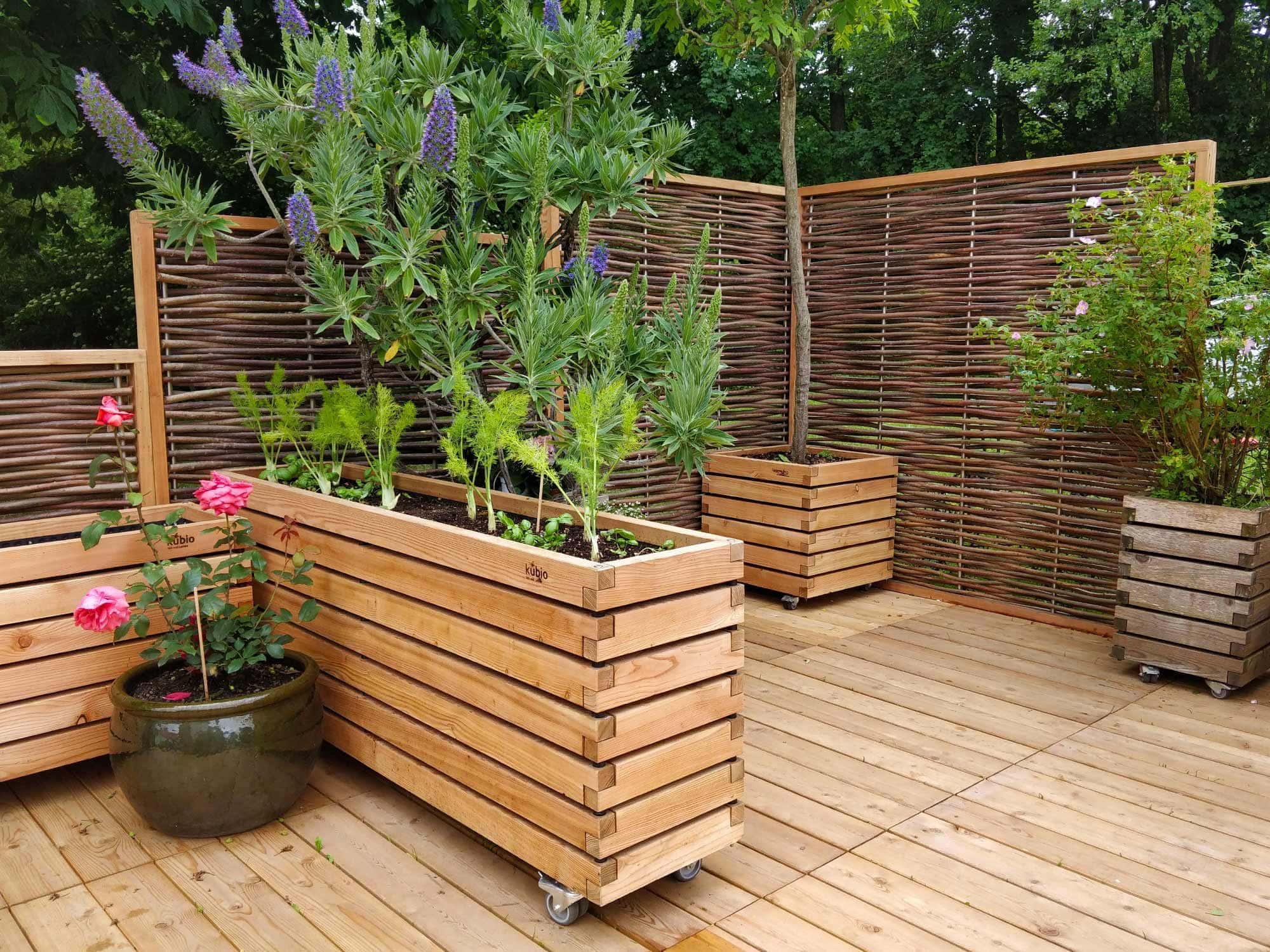 Pflanzkontainer in vielen Größen