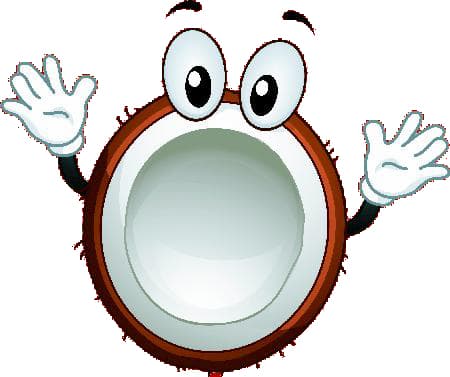 coconut character coconut character