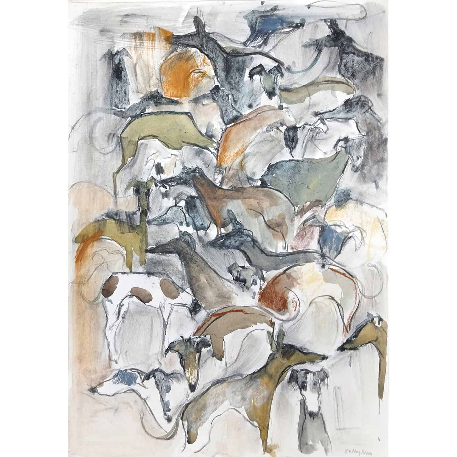 4724C Galgos – Sally Muir