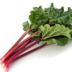 rubarba rhubarb rhubarbe rabarbaro ruibarbo Rhabarber gokid legume ordonate alfabetic
