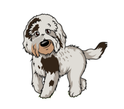 Dog training offered in minneapolis area