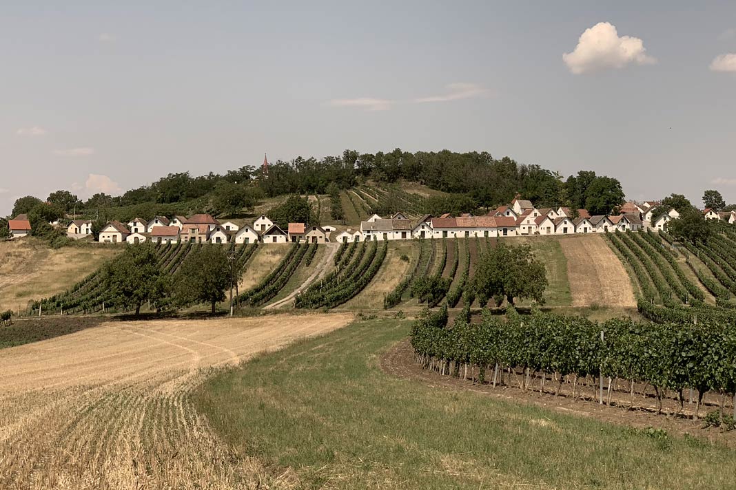 Der Blick auf die Kellergasse Galgenberg in Wildendürnbach