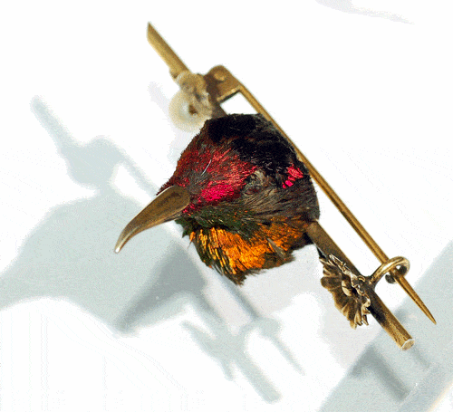 Image courtesy of Rowan & Rowan - Hummingbird brooch