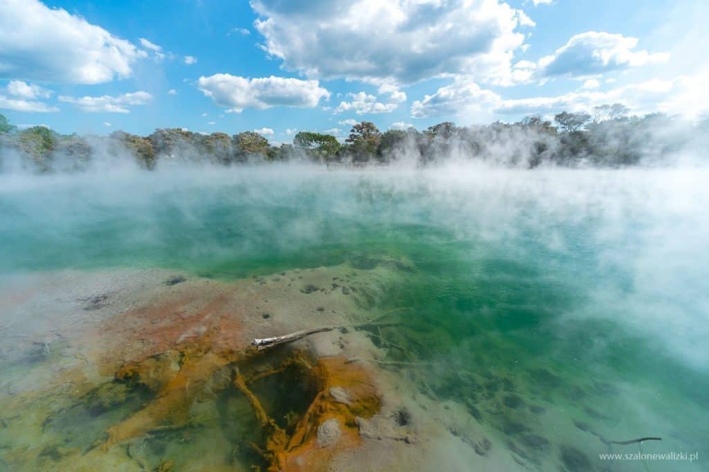 jezioro w centrum miasta rotorua