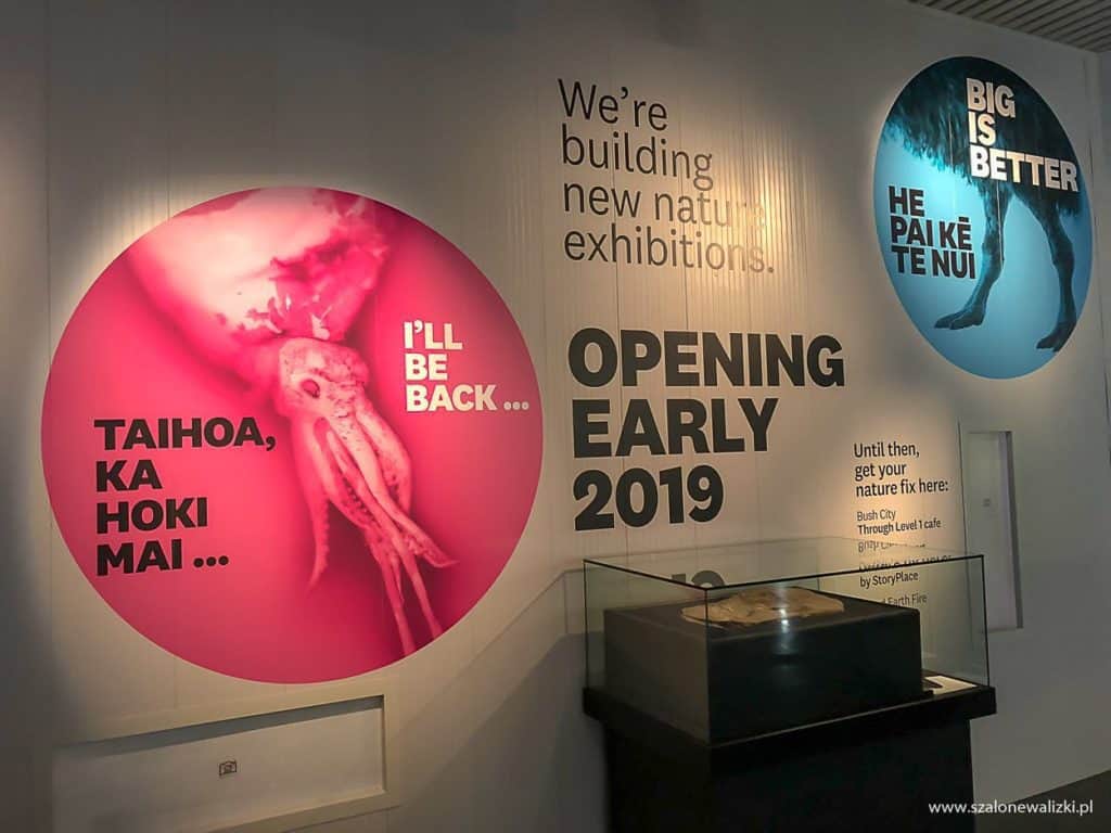 wellington w nowej zelandii