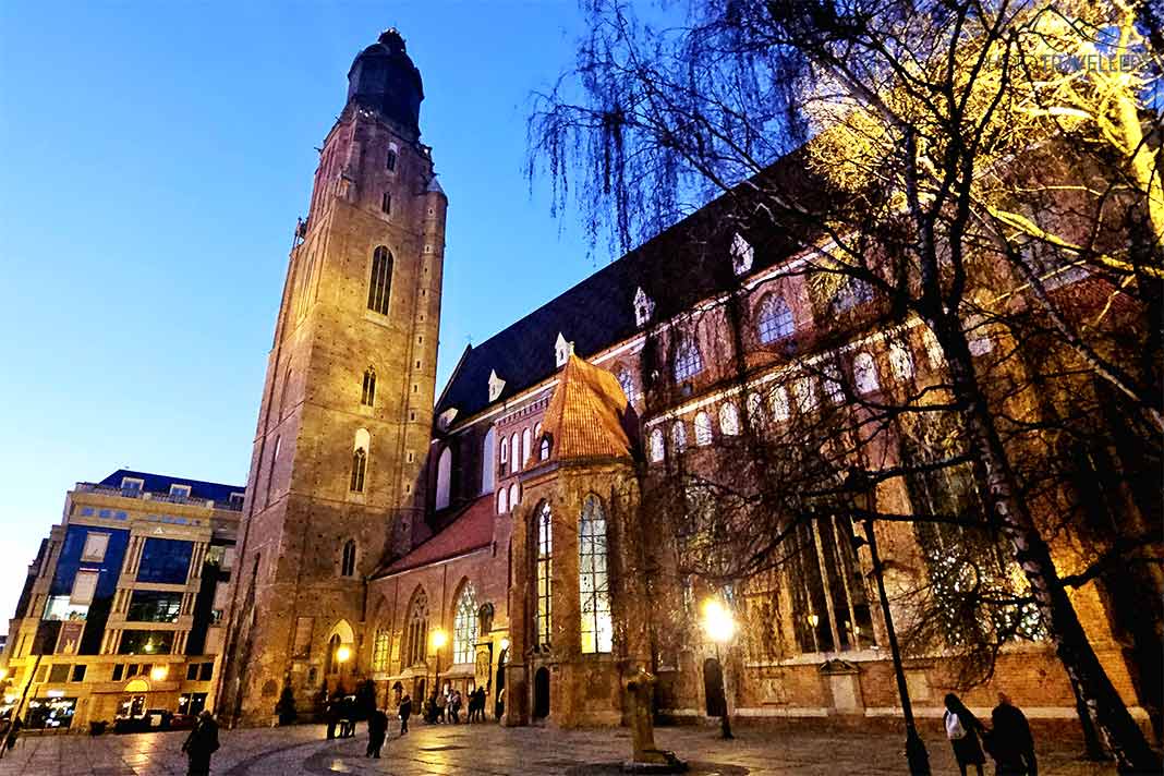Der hohe Turm und das große Seitenschiff der Elisabethkirche sind festlich beleuchtet