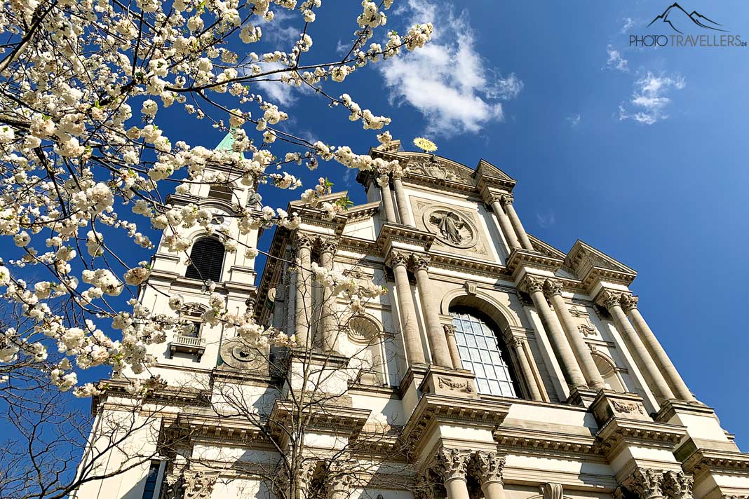 Die Stadtpfarrkirche St. Margaret in München mit Kirschblüten