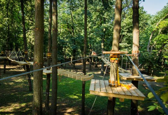 traseu in aventura parc herastrau Locuri de Petreceri in Aer Liber pentru Copii Bucuresti