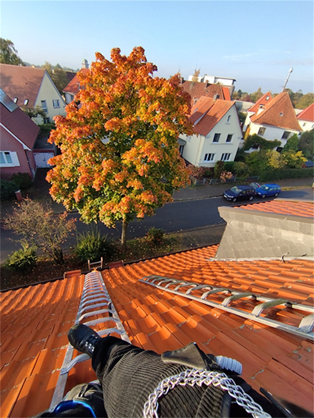 Ein Baum mit buntem Herbstlaub steht neben einer Straße, im Vordergrund ist ein Ziegeldach mit einer Leiter zu sehen.