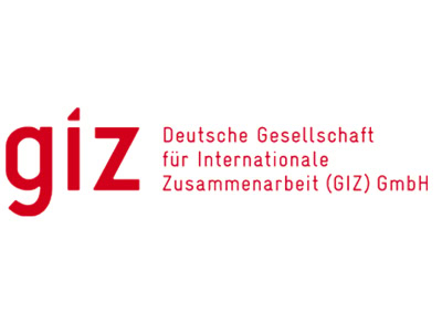 Deutsche Gesellschaft für Internationale Zusammenarbeit (GIZ)