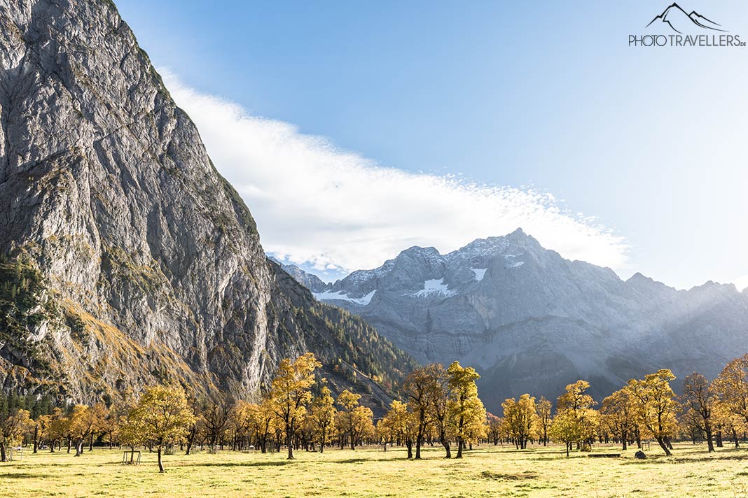 Angestrahlte Bäume im Herbst im Großen Ahornboden in Tirol