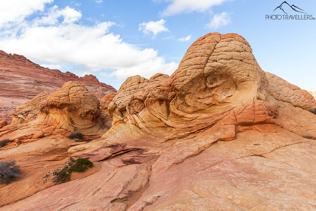 Sandsteinformationen in den Coyote Buttes North