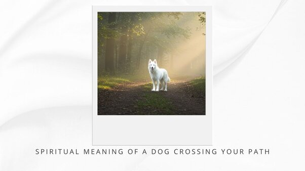 spiritual meaning of a dog crossing your path