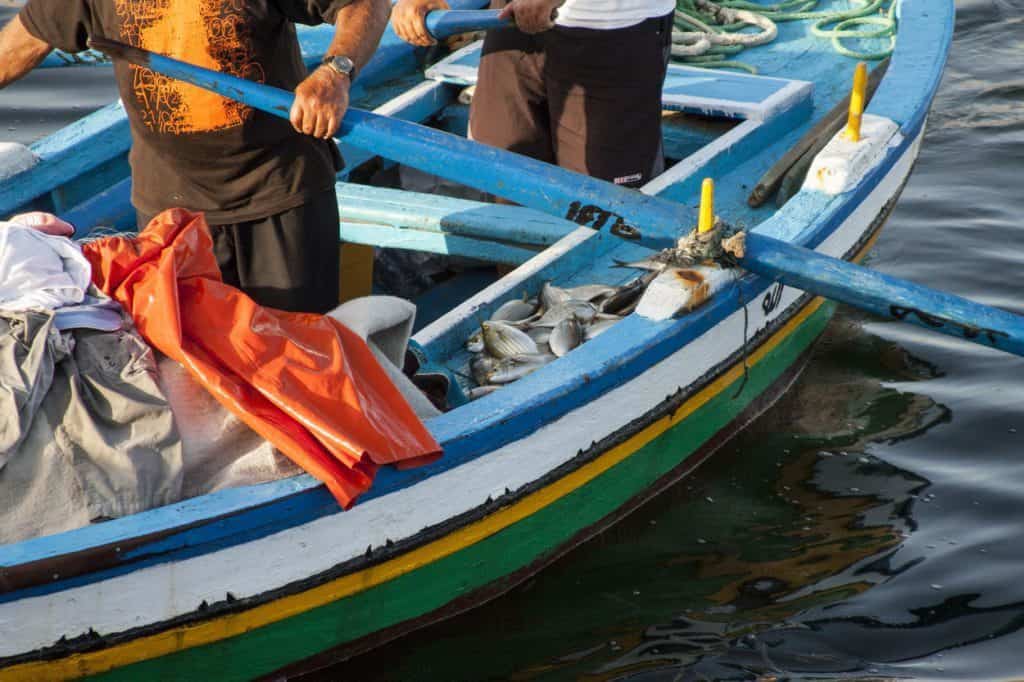 wszystkich świętych