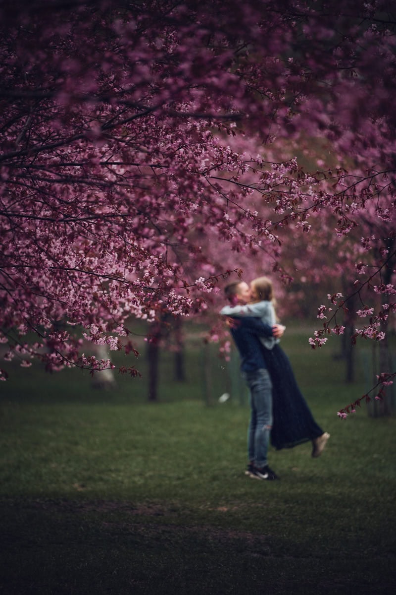 Roihuvuori cherry blossom park Helsinki 178