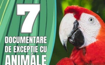 7 Documentare de Excepţie cu Animale de Văzut în Familie 7 Documentare de Exceptie cu Animale de Vazut In Familie gokid