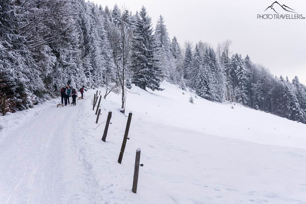 Ein breiter Wanderweg im Winter, den Rodler aufsteigen