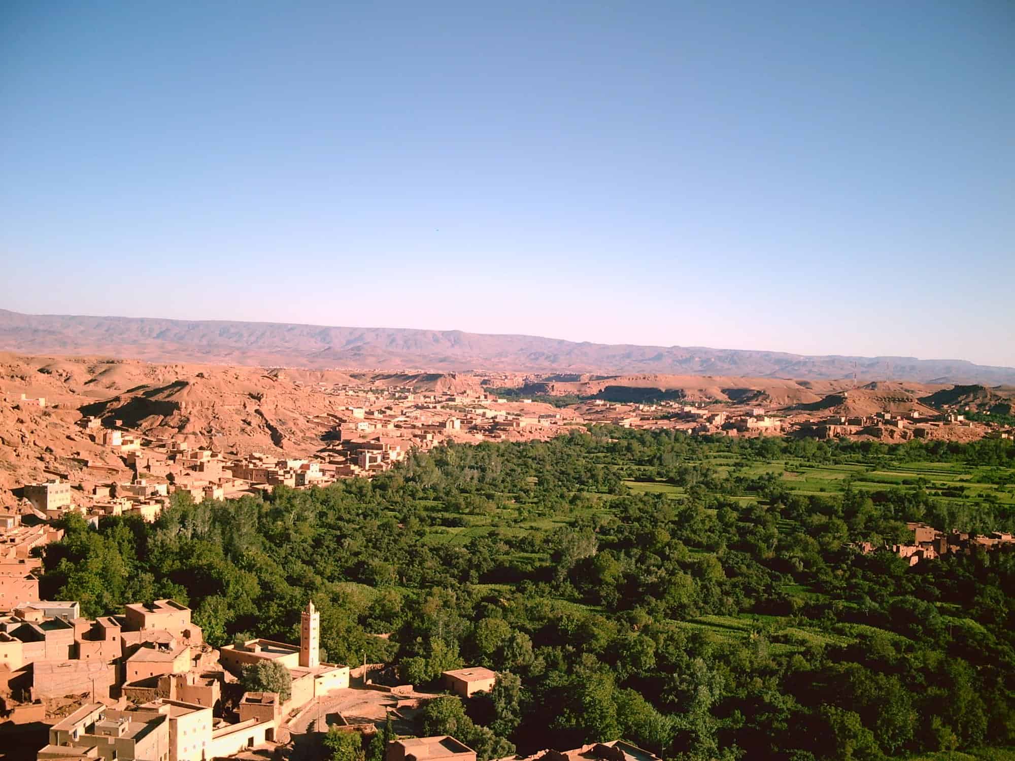 ziz-valley-palms-morocco-travels.jpg