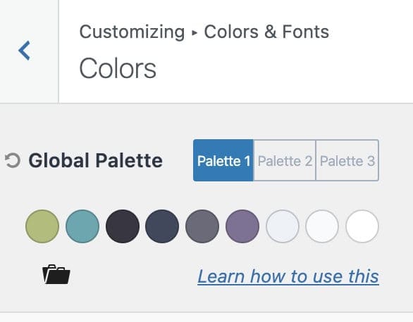 WordPress and Kadence Setup: Step-by-Step Guide for Beginners 3 screenshot of the Kadence color palette in the customizer