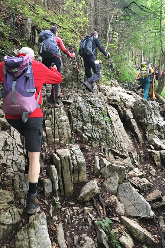 Mehrere Teilnehmer der Wanderleiter-Ausbildung, die über große Felsen im Wald steigen