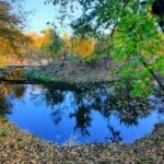 Parcul Sticlăriei. Natură în Oraș în Mica Deltă din Sectorul 2 parcul sticlariei sector 2 Bucuresti 1