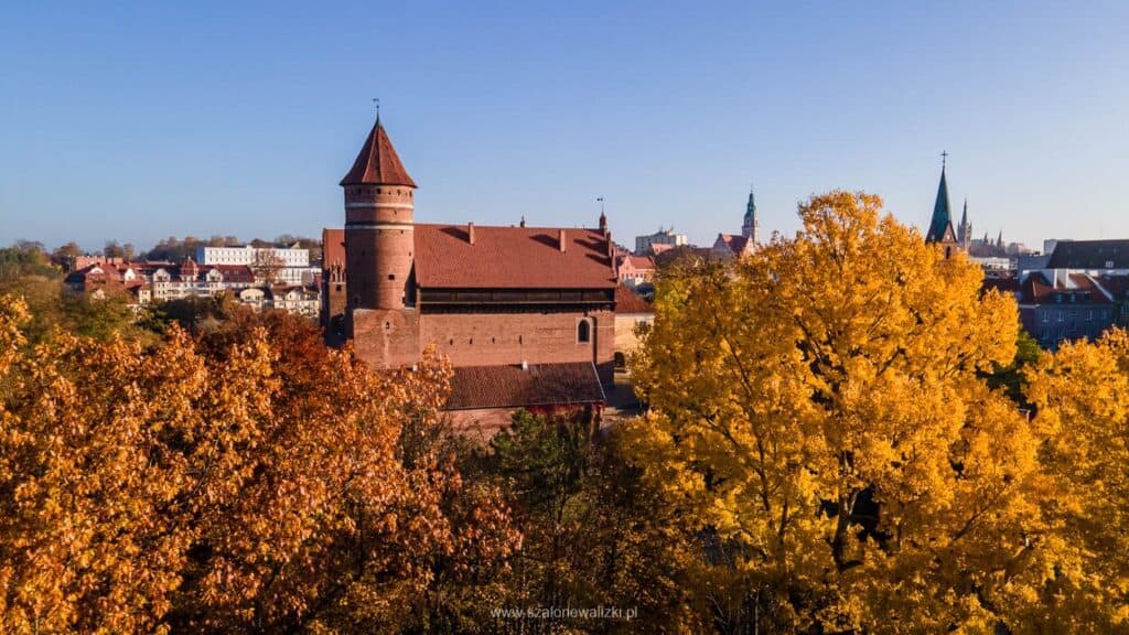 zamek w olsztynie