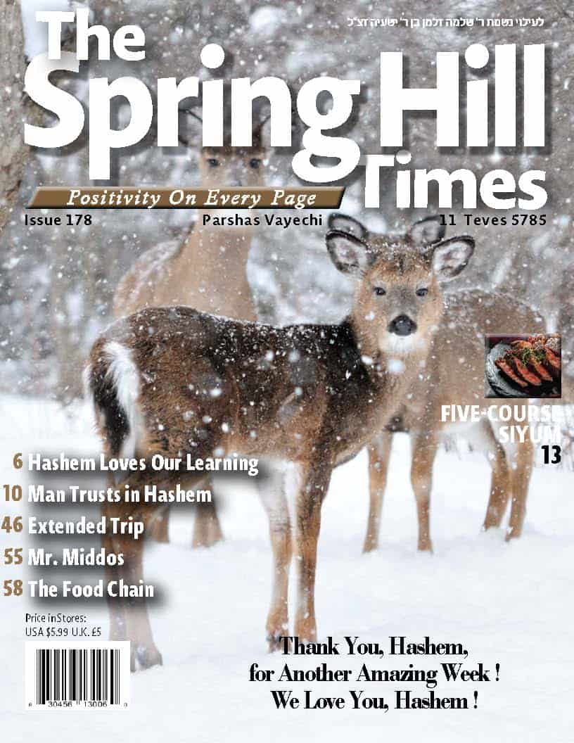 The Spring Hill Times Issue 178 Vayechi 5785-Downloadable Version