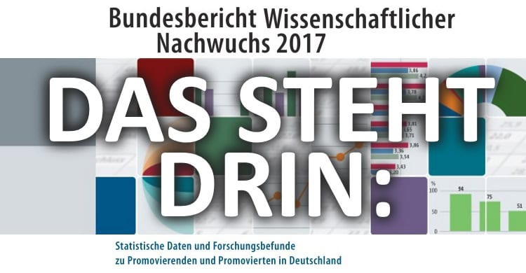 Die Situation des Wissenschaftlichen Nachwuchses